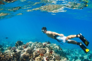 Full Board &amp; 3 Snorkeling at The Barat Perhentian (Low Season)