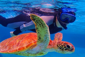 Barat  Perhentian Snorkeling